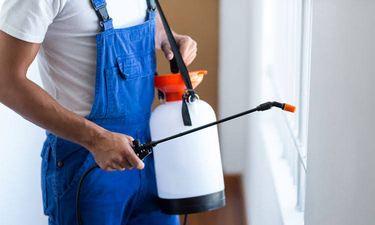 Pest control company in Sharjah 