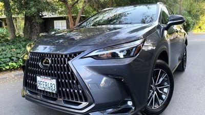 2023 Lexus NX 350 for sale at very good price